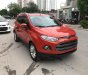 Ford EcoSport Cũ   TITANIUM 2014 - Xe Cũ Ford EcoSport TITANIUM 2014