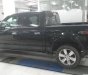 Ford F 150 Platinum  2015 - Bán xe Ford F 150 Platinum sản xuất năm 2015, màu đen, nhập khẩu nguyên chiếc như mới