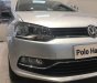 Volkswagen Polo 2015 - Bán Volkswagen Polo đời 2016, màu bạc, nhập khẩu giá cạnh tranh