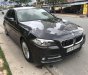 BMW 5 Series  520i   2014 - Bán xe BMW 520i sản xuất năm 2014, màu nâu, xe gia đình