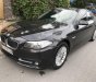 BMW 5 Series  520i   2014 - Bán xe BMW 520i sản xuất năm 2014, màu nâu, xe gia đình