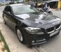 BMW 5 Series  520i   2014 - Bán xe BMW 520i sản xuất năm 2014, màu nâu, xe gia đình