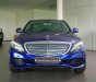 Mercedes-Benz Mới Mercedes-Benz C 250 Exusive 2017 - Xe Mới Mercedes-Benz C 250 Exclusive 2017