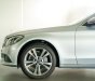 Mercedes-Benz Cũ Mercedes-Benz C 250 Exusive 2017 - Xe Cũ Mercedes-Benz C 250 Exclusive 2017