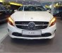 Mercedes-Benz A class  A200 2018 - Bán Mercedes A200 đời 2018, màu trắng, nhập khẩu nguyên chiếc