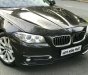 BMW 5 Series 528i 2016 - Cần bán xe BMW 5 Series 528i đời 2016, màu nâu, xe nhập