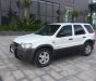 Ford Escape XLT 2002 - Bán ô tô Ford Escape XLT năm sản xuất 2002, màu trắng, giá 165tr
