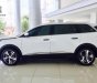 Peugeot 5008 2018 - Bán Peugeot 5008 sản xuất 2018, màu trắng, xe nhập