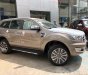 Ford Everest Turbo Trend AT 2018 - Bán Ford Everest đời 2018, màu cát, nhập khẩu, giao xe ngay tháng 9. Liên hệ 0986812333