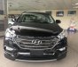 Hyundai Santa Fe 2018 - Bán ô tô Hyundai Santa Fe sản xuất 2018 màu đen, giá chỉ 950 triệu