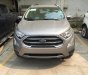 Ford EcoSport 1.5L- AT Ambiente  2018 - Bán Ford EcoSport năm 2018, giá cạnh tranh, hỗ trợ trả góp, thủ tục nhanh gọn