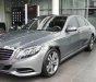 Mercedes-Benz S class   S500  2013 - Bán Mercedes S500 2013, màu xám 