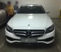 Mercedes-Benz E class E250 2017 - Bán ô tô Mercedes E250 sản xuất 2017, màu trắng