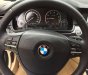 BMW 5 Series  520i 2015 - Bán xe BMW 5 Series 520i sản xuất năm 2015, màu đen 