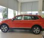 Volkswagen Tiguan 2018 - Bán xe Volkswagen Tiguan sản xuất năm 2018. Ưu đãi lớn