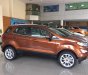 Ford EcoSport 1.5L AT Ambiente 2018 - Bán Ford Ecosport Titanium tại Lạng Sơn giao ngay, đủ màu, giảm cực mạnh, hỗ trợ 80%, 8 năm - LH: 0942552831