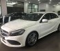 Mercedes-Benz A class 2018 - Bán Mercedes A250 cũ