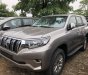 Toyota Prado VX 2018 - Cần bán xe Toyota Prado VX đời 2018, màu nâu, nhập khẩu nguyên chiếc