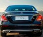 Mercedes-Benz E class  E250  2018 - Bán ô tô Mercedes E250 2018, màu đen