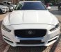 Jaguar XE Portilo 2015 - Cần bán Jaguar XE Portilo đời 2016, màu trắng, nhập khẩu