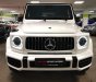 Mercedes-Benz G class G63 AMG Edition One 2018 - Bán xe Mercedes G63 AMG Edition One 2018, màu trắng, nhập khẩu nguyên chiếc mới 100%