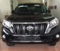 Toyota Prado TXL 2016 - Bán ô tô Toyota Prado TXL đời 2016, màu đen, nhập khẩu chính chủ