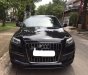 Audi Q7 2008 - Cần bán Audi Q7 năm sản xuất 2008, màu đen, xe nhập