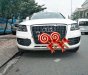 Audi Q5 2010 - Bán Audi Q5 đời 2010, màu trắng, nhập khẩu