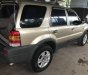 Ford Escape XLT 2003 - Bán ô tô Ford Escape XLT năm sản xuất 2003, màu vàng cát