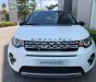 LandRover Discovery 2016 - Cần bán xe LandRover Discovery sản xuất 2016, màu trắng, nhập khẩu nguyên chiếc