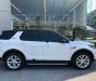 LandRover Discovery 2016 - Cần bán xe LandRover Discovery sản xuất 2016, màu trắng, nhập khẩu nguyên chiếc