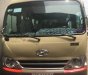 Hyundai County 3.9L 2010 - Bán Hyundai County 3.9L năm 2010, màu kem (be) chính chủ