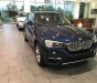 BMW X4 Xdrive20i 2017 - BMW Phú Mỹ Hưng bán BMW X4 Xdrive20i - Mới 100% nhập khẩu nguyên chiếc