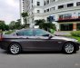 BMW 5 Series 520i 2013 - Cần bán xe BMW 5 Series 520i đời 2013, màu nâu, nhập khẩu nguyên chiếc như mới