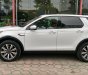 LandRover Discovery Sport 2017 - Bán LandRover Discovery Sport đời 2017 nhập Mỹ