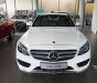 Mercedes-Benz C class 2017 - Cần bán gấp Mercedes đời 2017, màu trắng 