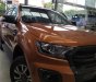 Ford Ranger WT 2.0 (hộp số 10 cấp) Bi-Turbo 4x4 2018 - Bán xe Ford Ranger 2.0 Bi-Turbo 4x4 2018, màu cam, xe nhập, giá chỉ 918 triệu