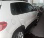 Volkswagen Tiguan    2010 - Bán Volkswagen Tiguan 2010, màu trắng, nhập khẩu