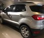 Ford EcoSport 2015 - Bán Ford EcoSport năm sản xuất 2015, màu bạc số sàn, 420tr