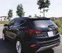 Hyundai Santa Fe 2017 - Bán ô tô Hyundai Santa Fe năm 2017