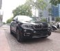 BMW X6 2015 - Bán ô tô BMW X6 sản xuất năm 2015, màu đen, nhập khẩu nguyên chiếc