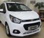 Chevrolet Spark Van 2017 - Bán xe Chevrolet Spark Van đời 2017, màu trắng