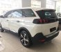 Peugeot 5008 2018 - Cần bán xe Peugeot 5008 sản xuất năm 2018, màu trắng