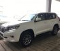 Toyota Land Cruiser Prado VX  2018 - Bán Toyota Prado Prado VX 2018, màu trắng, nhập khẩu