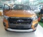 Ford Ranger Wildtrak 2.0L 4x4 AT 2018 - Bán ô tô Ford Ranger Wildtrak 2.0L 4x4 AT đời 2018 