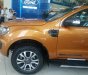 Ford Ranger Wildtrak 2.0L 4x4 AT 2018 - Bán ô tô Ford Ranger Wildtrak 2.0L 4x4 AT đời 2018 