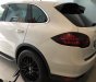 Porsche Cayenne 2010 - Bán Porsche Ceyenne xe như mới, nguyên zin 2010