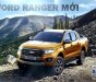 Ford Ranger  Wildtrak 2018 - Bán xe Ford Ranger Wildtrak mới 2.0 Bi Turbo nhập khẩu