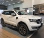 Ford Everest Titanium 2.0L 4x2 AT 2018 - Bán ô tô Ford Everest Titanium 2.0L 4x2 AT sản xuất năm 2018 