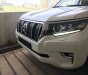 Toyota Land Cruiser Prado VX  2018 - Bán Toyota Prado Prado VX 2018, màu trắng, nhập khẩu